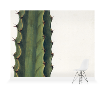 'Cactus' Wallpaper Mural